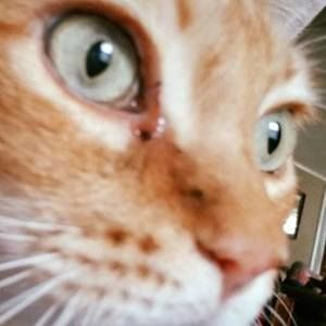 Meet your Posher, Melanie